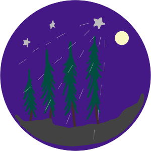 Shooting Star Over A mountain Forest