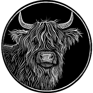 Highland Cow Portrait