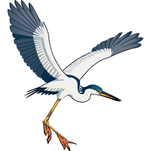 Heron In Flight