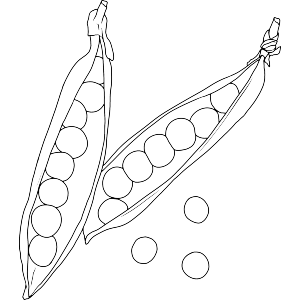 Pea Pods