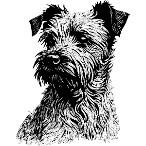 Terrier