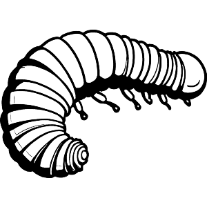 Millipede