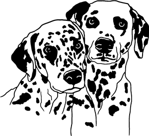 Cuddling Dalmatians