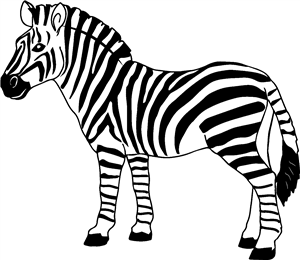Zebra