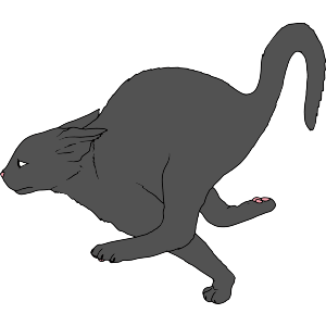 Running Scared Cat