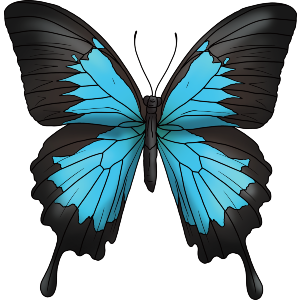 Blue Ulysses Swallowtail Butterfly