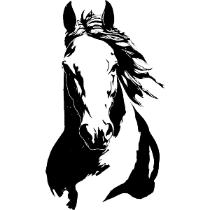 Minimalist Horse Portrait
