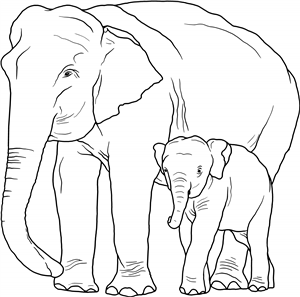 Elephant Mother & Calf