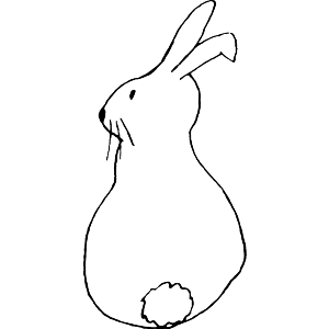 Rabbit looking sideways