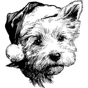 Westie Dog Wearing Santa Hat