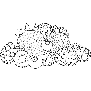 Mixed Summer Berries