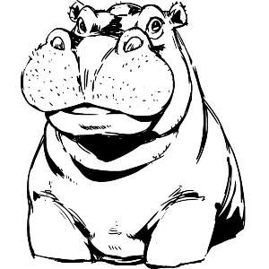 Hippo Portrait