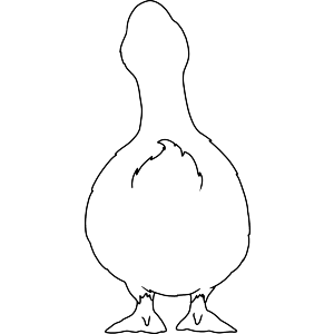 Duck Bottom