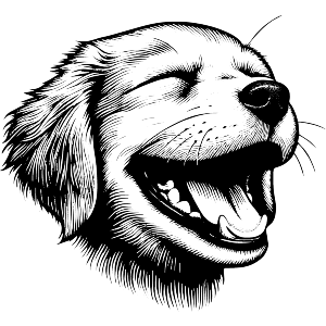 Happy Golden Labrador Puppy