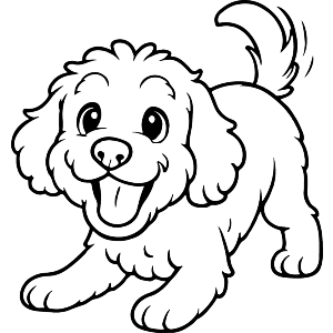 Playful Cockapoo Dog
