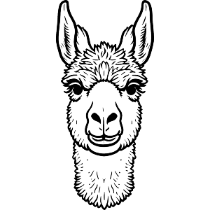 Llama Portrait