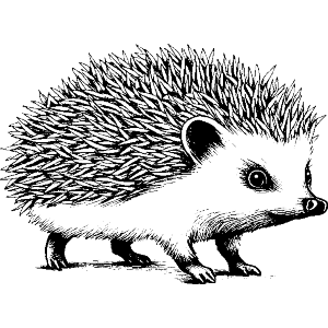 Cute Hedgehog Side View