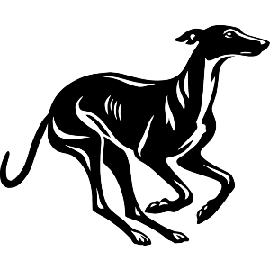 Running Greyhound
