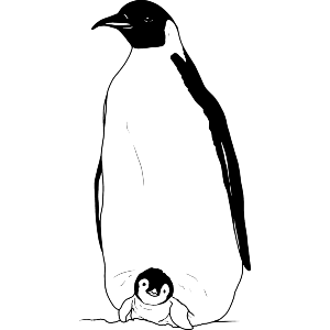 Emperor Penguin Family