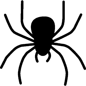 baby spider