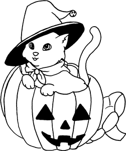 Halloween Cat