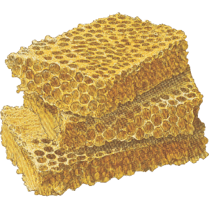 Honeycomb Chunks