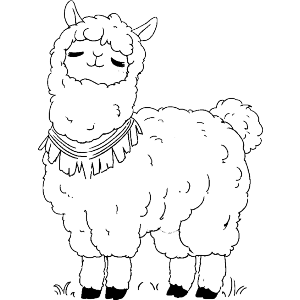 Cute Llama Standing