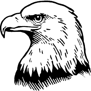 Eagle Side View Portrait