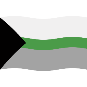 Waving Demiromantic Flag
