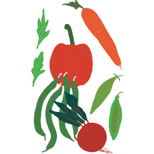 A Colourful Array Of Salad And Vegetables 