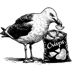 Seagull With Crisp Packet