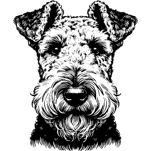 Airedale Terrier