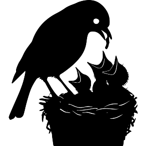 Bird Feeding Chicks Nest Silhouette