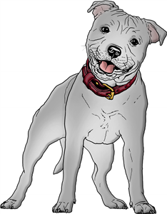 Staffordshire Bull Terrier