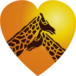 Giraffes In Love
