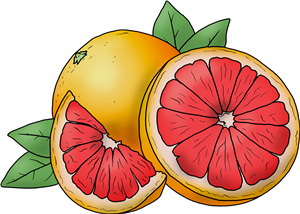 Grapefruit