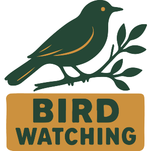 Bird Watching Nature Design