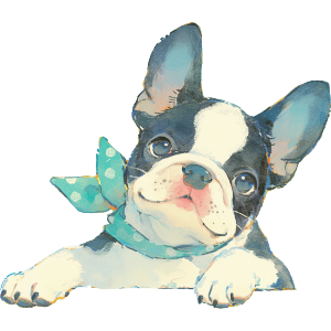 Happy French Bulldog Puppy