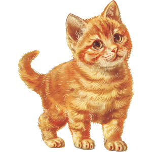 Ginger Kitten Standing