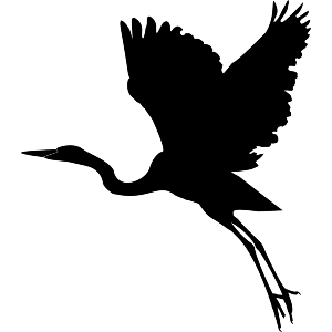 Flying Heron
