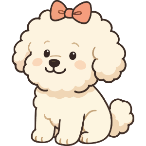 Cute Bichon Frise Dog