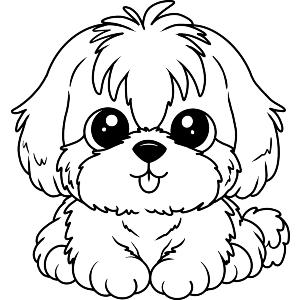 Cute Shih Tzu Dog