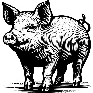 Pig Illustration