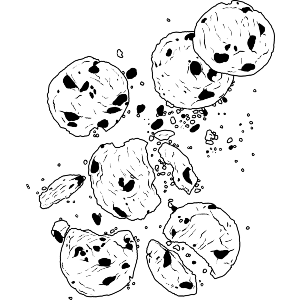 Crumbling Cookies