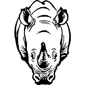 Black Rhino