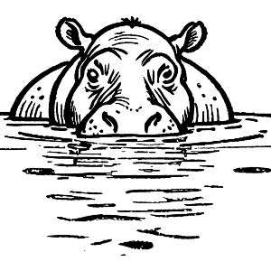 Hippopotamus in a Pool
