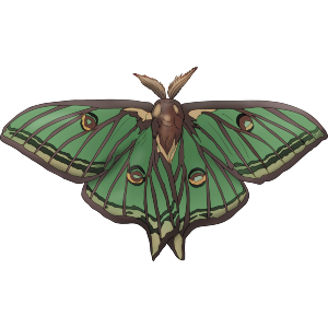 Luna Moth