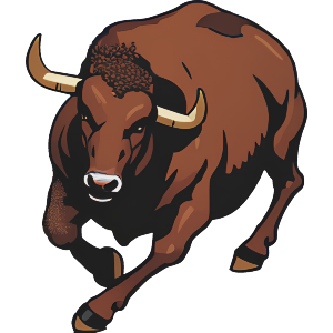 Bull Running