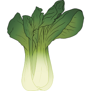Bok Choy Vegetable