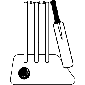 Cricket Pitch Essentials